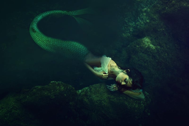 Underwater Wonderland